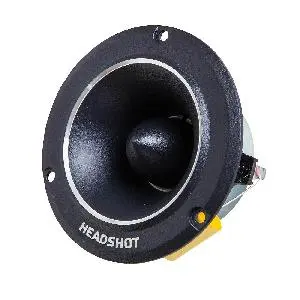 Kicx Headshot TW1