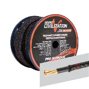 Kicx PRO-SCPPC430