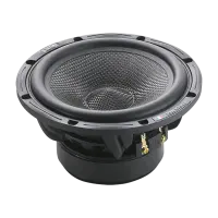 Blam WS6300
