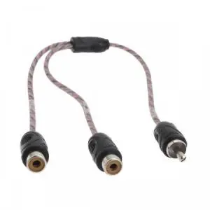 Dynamic State RCC-1M2F