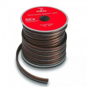 Focal PS25