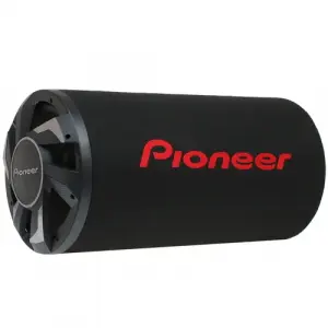 Pioneer TS-WX300TA